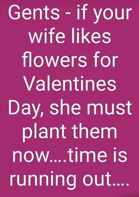 Name:  Valentines.jpg
Views: 548
Size:  40.6 KB