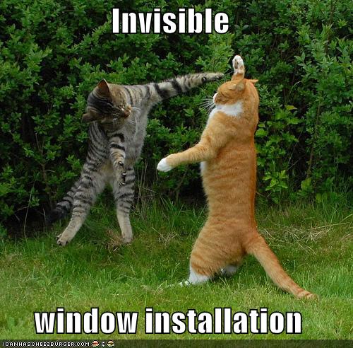 Name:  Cat-install-invisible-windows.jpg
Views: 3382
Size:  67.1 KB