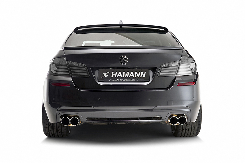 Name:  hamannf10-2.jpg
Views: 16118
Size:  174.9 KB