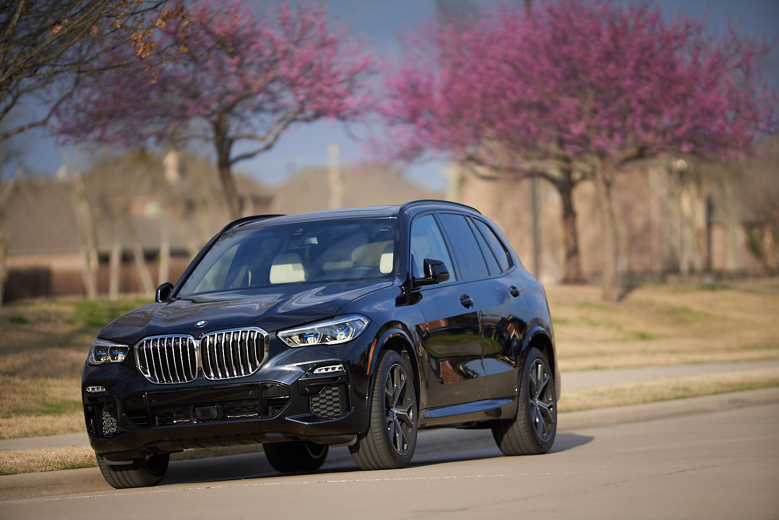 Name:  2019_BMW_X5_xDrive_ 4.jpg
Views: 4537
Size:  190.6 KB