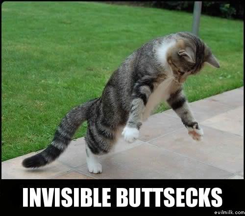 Name:  Invisible_buttsecks.jpg
Views: 23447
Size:  35.0 KB