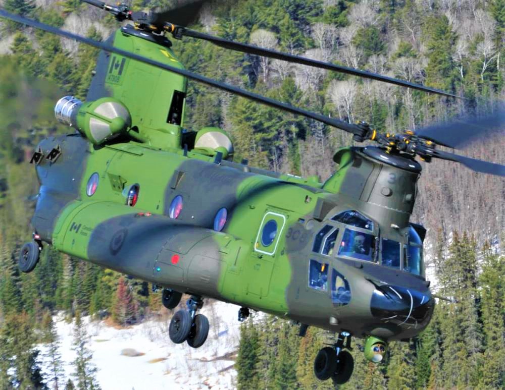 Name:  Chinook..jpg
Views: 760
Size:  226.4 KB