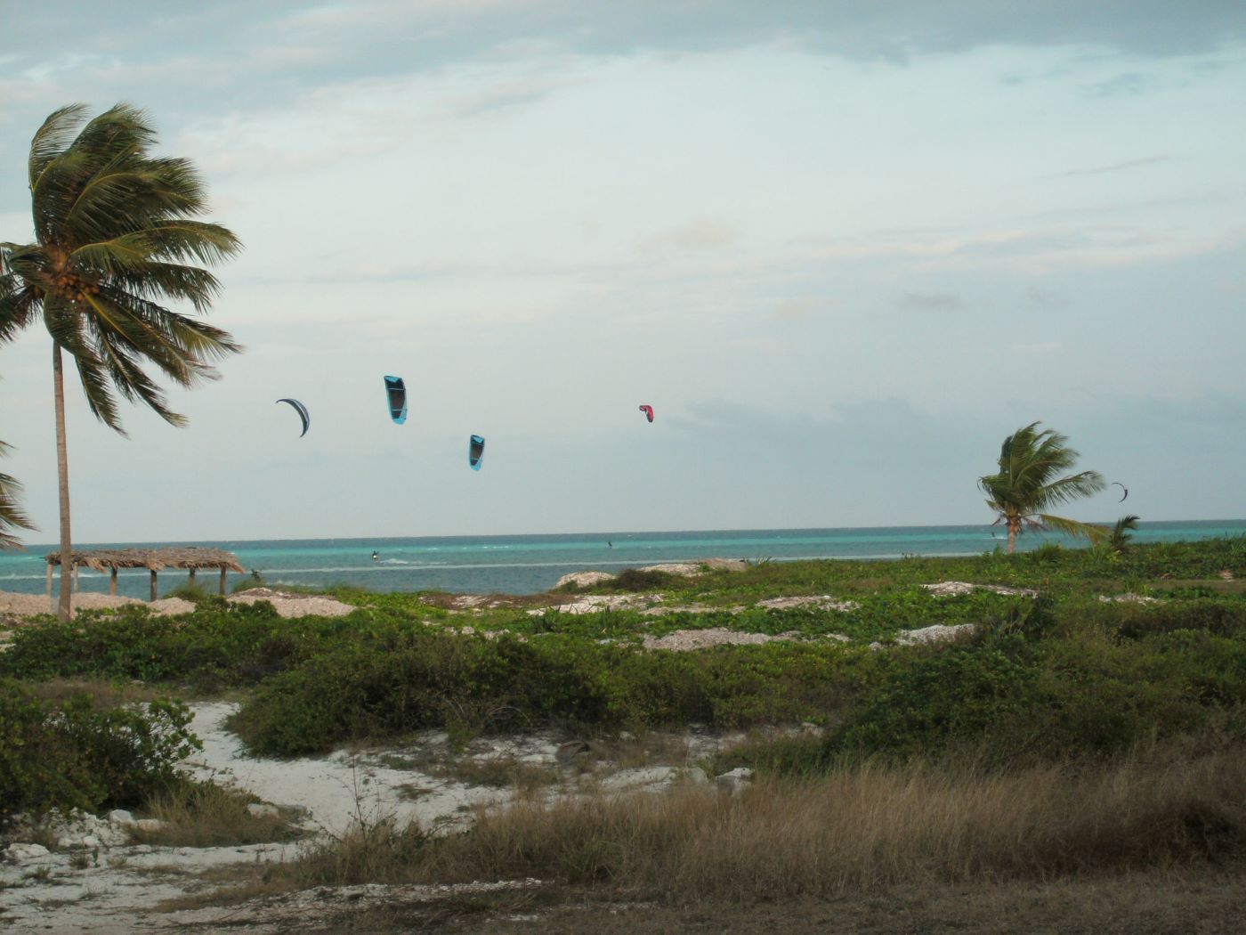 Name:  Kite Surfing.JPG
Views: 1381
Size:  161.8 KB