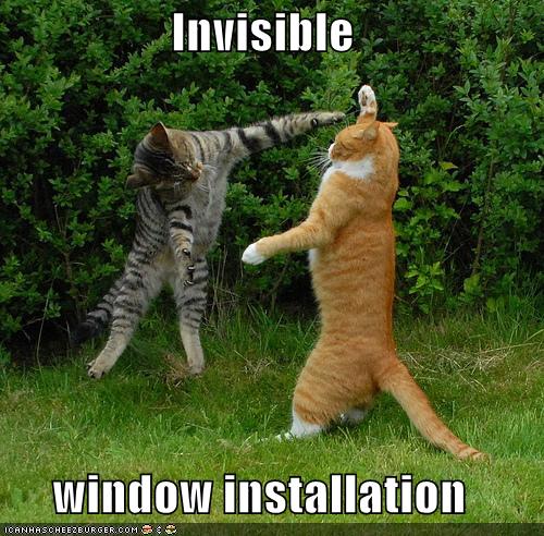 Name:  Cat-install-invisible-windows.jpg
Views: 3379
Size:  67.1 KB